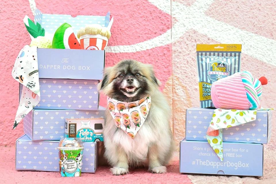 pet subscription boxes