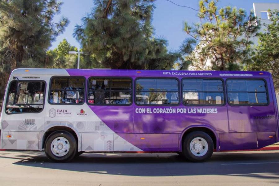 Ruta violeta: Un transporte que protege y otorga mayor seguridad a las mujeres en Tijuana