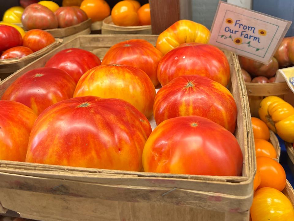 giant tomatoes at round swamp farm