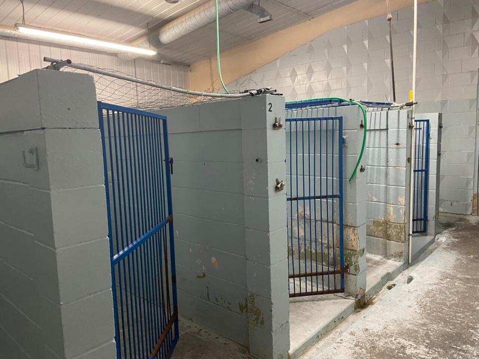 The inside of the previous location of the Regina Humane Society on Armour Rd.