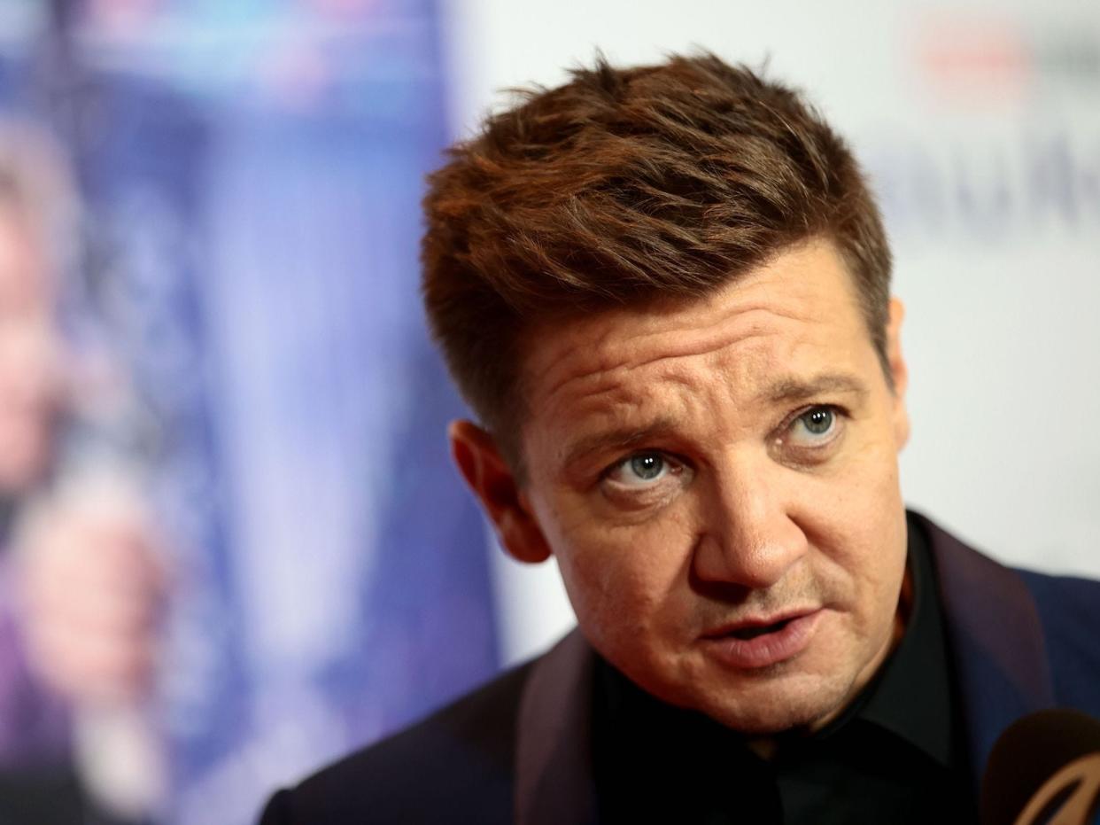 Jeremy Renner speaks on red carpet