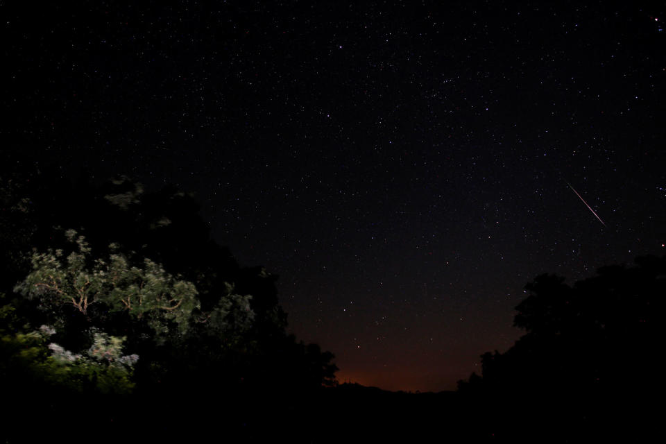Spectacular Perseid meteor shower lights up the night skiesin the night sky above trees in the Los Alcornocales (cork oak forests) nature park, during the Perseid meteor shower in the ancient village of La Sauceda, near Cortes de la Frontera