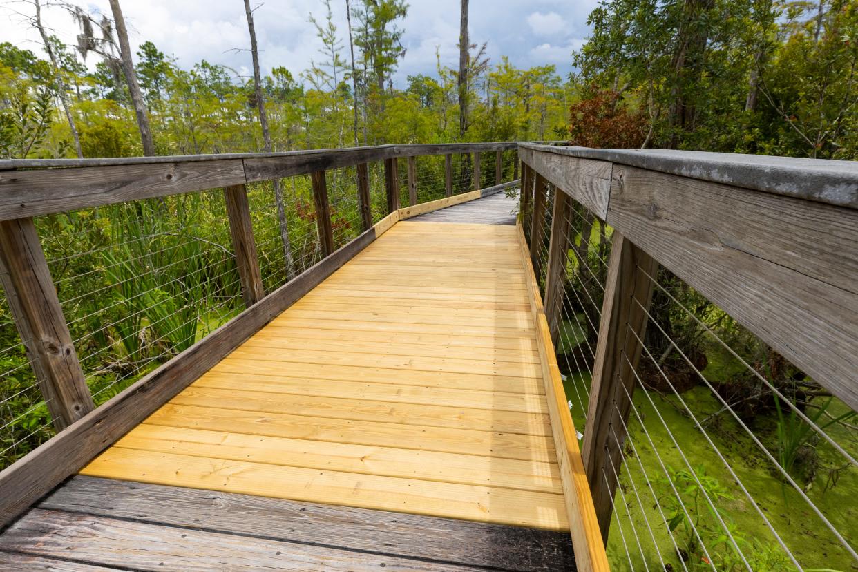 The Cypress Pond Trail at the PCB Conservation Park has reopened following repairs on 32 feet of boardwalk.