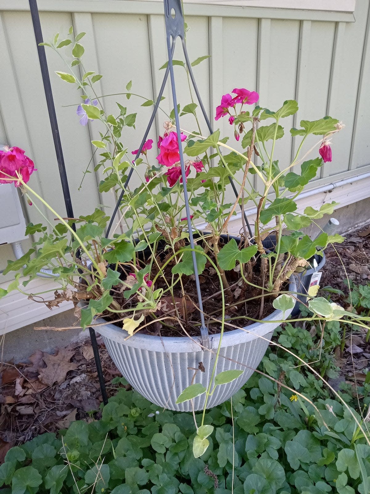 Orrville Public Library will hold its annual spring plant exchange on Saturday, May 4.