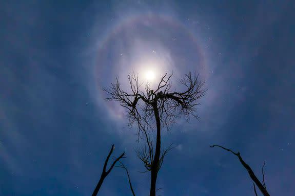 Moon halo over Bencubbin, Western Australia, Australia.
