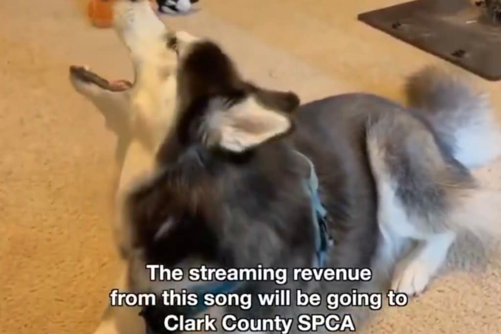 A husky howling in auto-tune also makes an appearance in the song. io/X