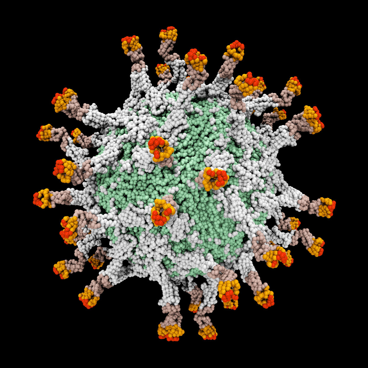 Digitally generated image of 3D molecular model of polio virus