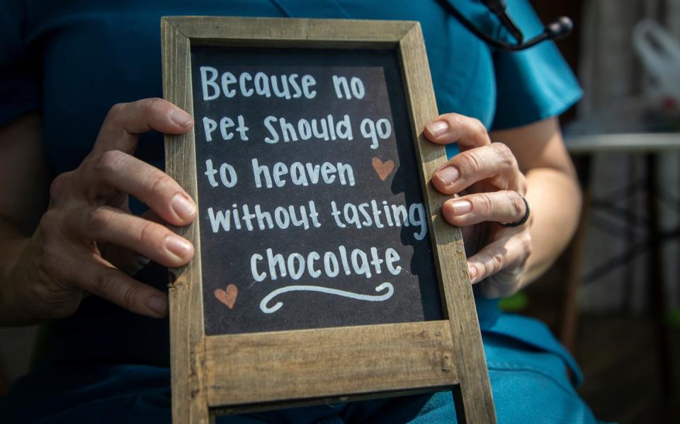 Associate veterinarian Sarah Sewick holds a sign that reads "Because no pet should go to heaven without tasting chocolate" inside Greenfield Animal Hospital in Southfield on Friday, Aug. 4, 2023.