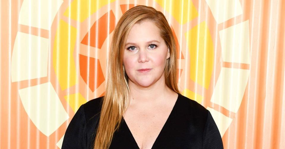 Amy Schumer, Gabrielle Union & More Celebrities Who've Opened Up About Their Emotional IVF Journeys