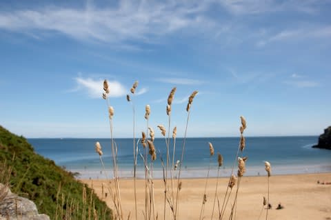 Barafundle, regularly included in lists of the world’s most beautiful beaches - Credit: GETTY