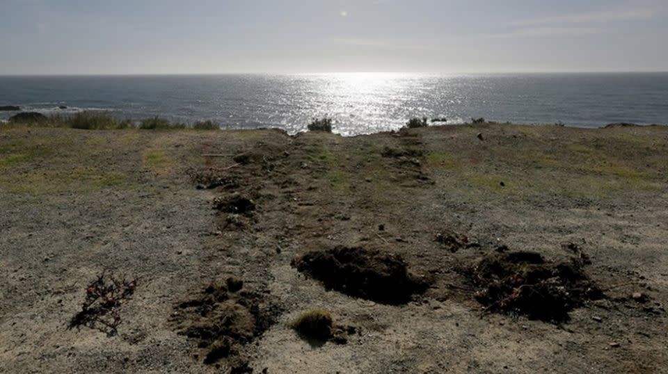 Tracks lead away from the edge of the cliff. Source: AAP