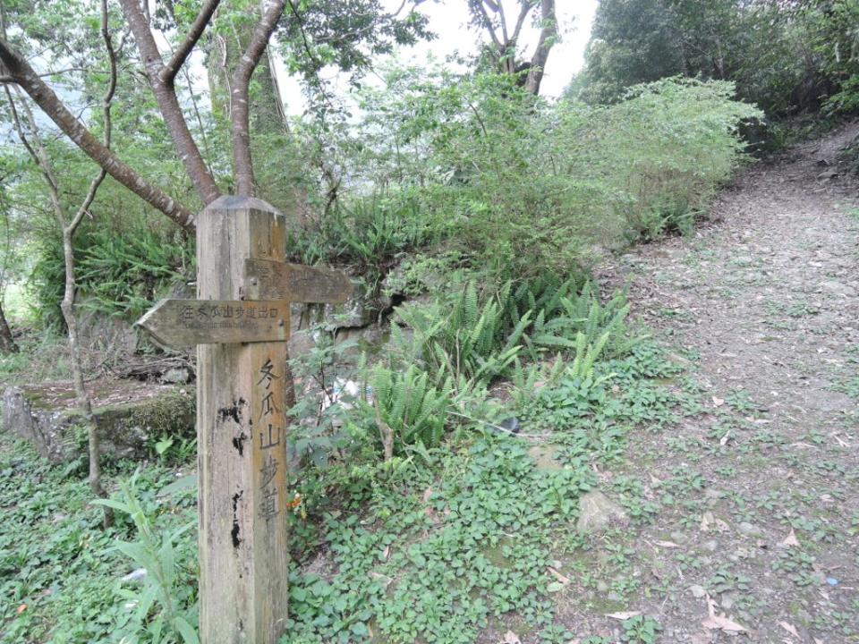 冬瓜山神木步道（圖片來源：新竹分署）