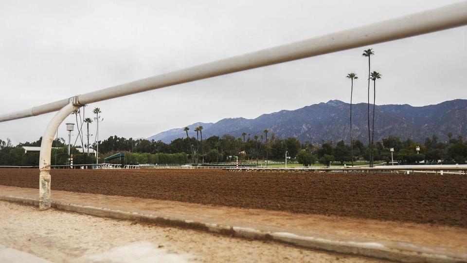 A general shot of Santa Anita Park. (Photo by Mario Tama/Getty Images) 