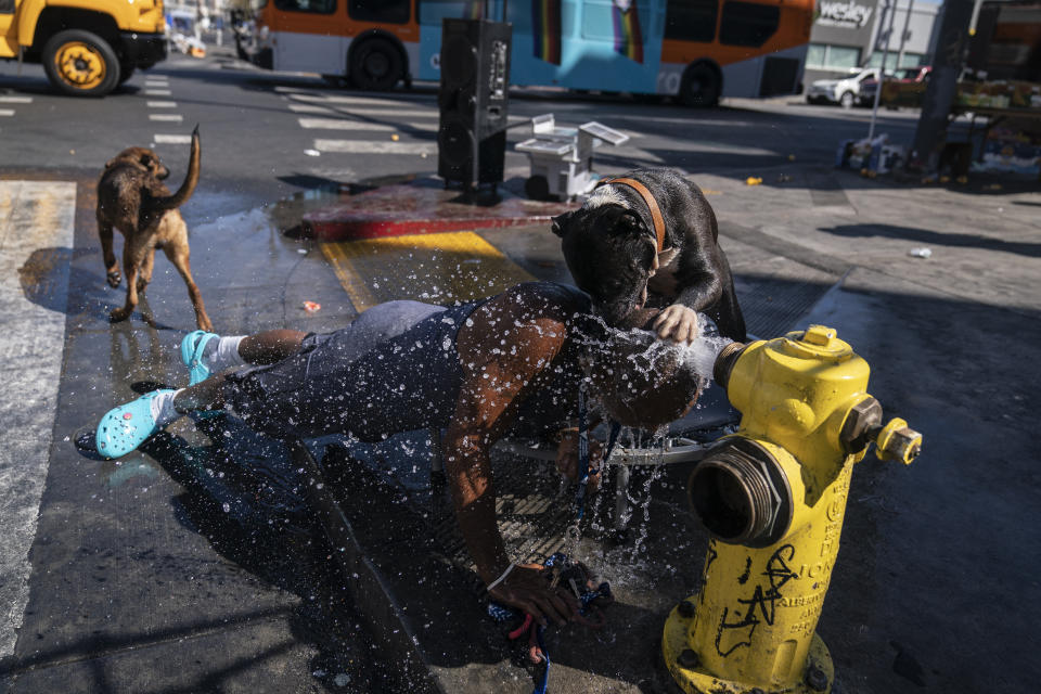 Victor Tejada y su perro se refrescan con agua de un hidrante en el área de Skid Row en Los Ángeles, el 31 de agosto de 2022, en medio de una ola de calor. (AP Foto/Jae C. Hong)