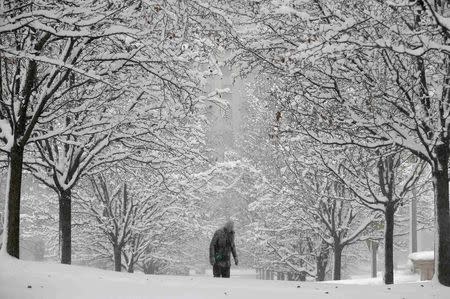 A woman walks up a hill in Millennium Park during blizzard conditions in Chicago, Illinois, February 1, 2015. REUTERS/Jim Young