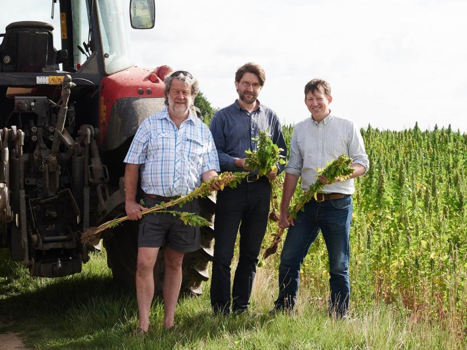 Hodmedod’s works with British farmers to grow and sell a range of pulses and grains here in the UK, and grows its own organic produce on its farm in Suffolk  (David Charbit)