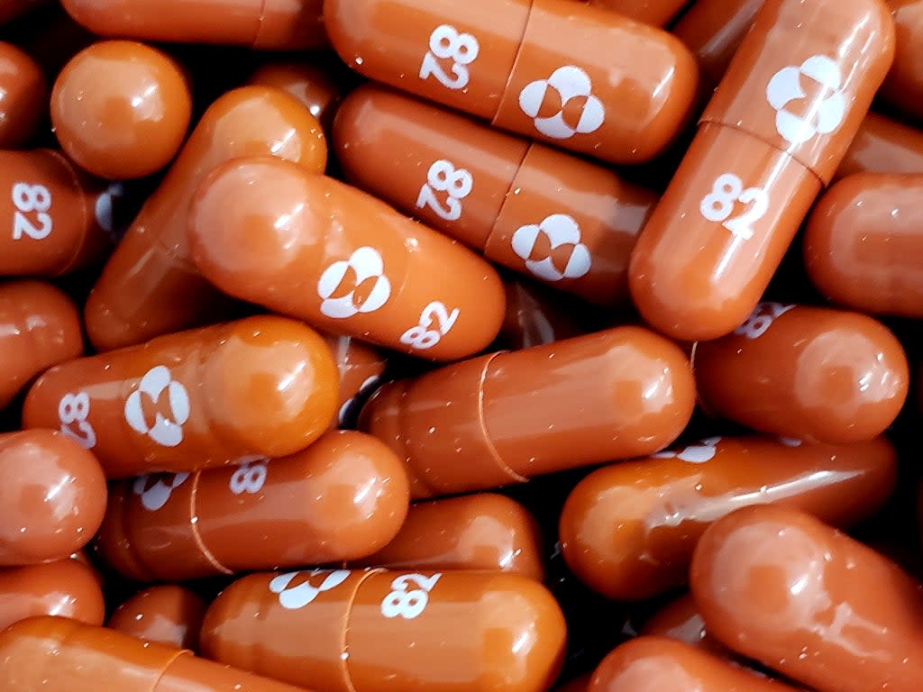 An experimental Covid-19 treatment pill called molnupiravir being developed by Merck & Co Inc and Ridgeback Biotherapeutics LP, is seen in this undated handout photo released by Merck & Co Inc and obtained by Reuters 17 May 2021 (Reuters)