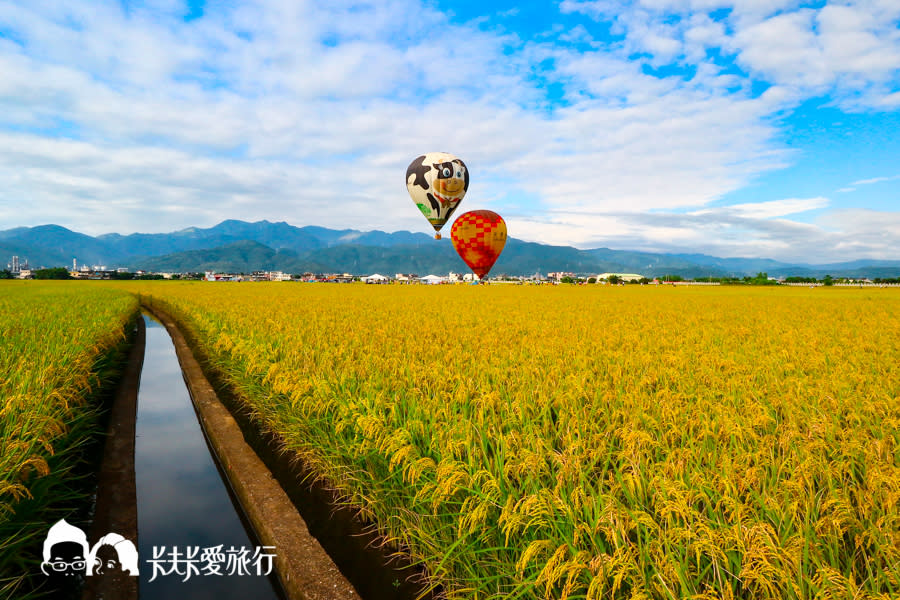 飛牛牧場、全聯福利中心的福利熊，及天際航空的熱氣球，升空於金澄澄稻浪上