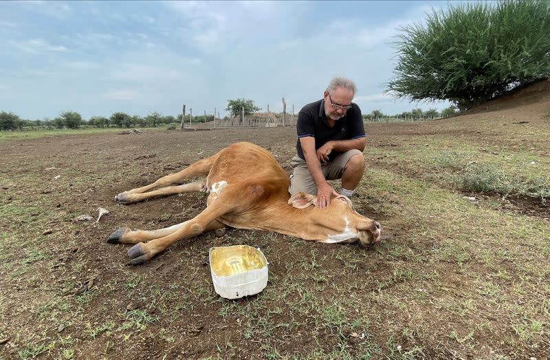 Argentina's drought-hit fields, billion dollar losses and farmers going under