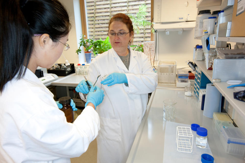 綠色和平科學家Iryna Labunska（右）和Melissa Wang（左）檢測水體樣本中是否含有有害化學物質。