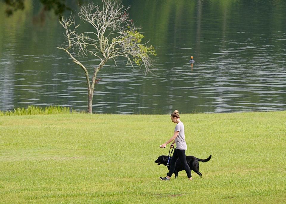 When walking your dog near a body of water in Florida, keep your distance. Alligators and crocodiles prey on small animals.