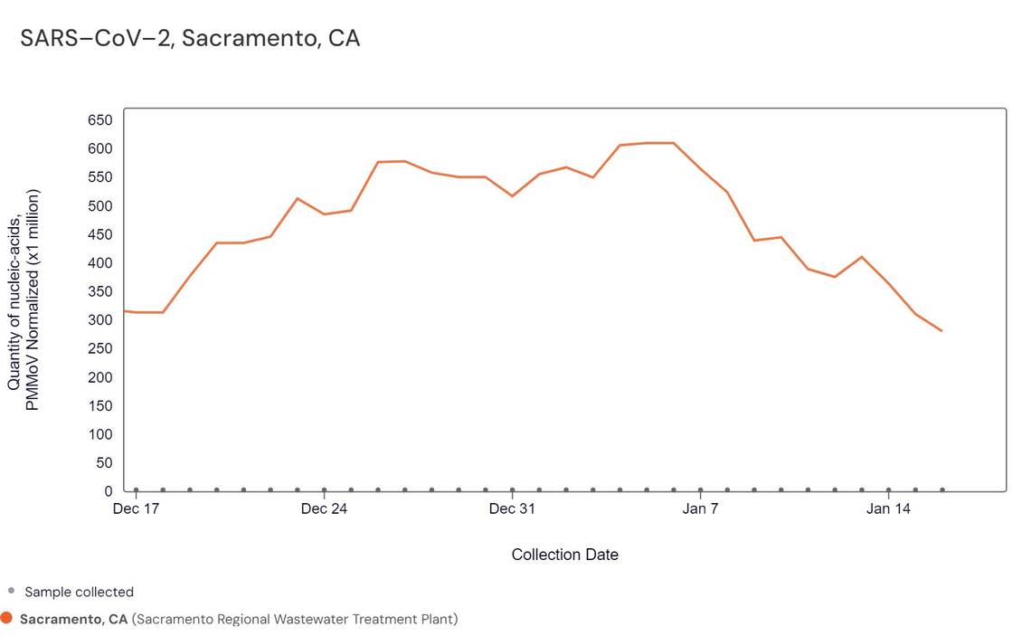 Data compiled by Sandford-based research team WastewaterSCAN reveals medium levels of COVID-19 in Sacramento County, with a downward trend in the past three weeks. 