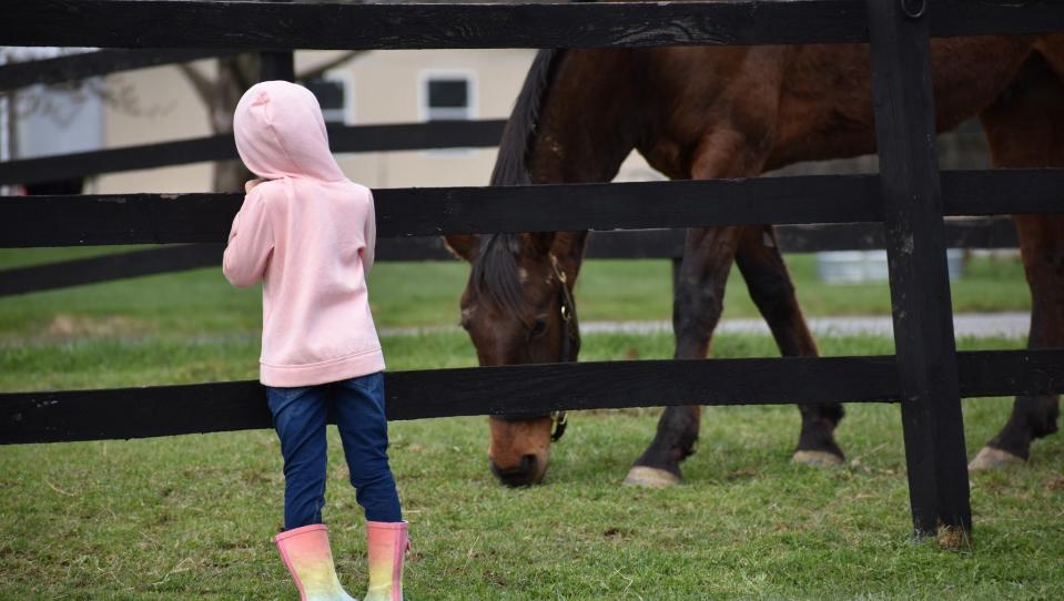 A young visitor to Gaia’s Way at Hawkridge Farm in New Berlin admires one of the horses that live there. The non-profit farm provides fresh eggs to local food pantries, trauma-informed equine therapy to local veterans and stuffed animals made from alpaca fiber to children in foster care.