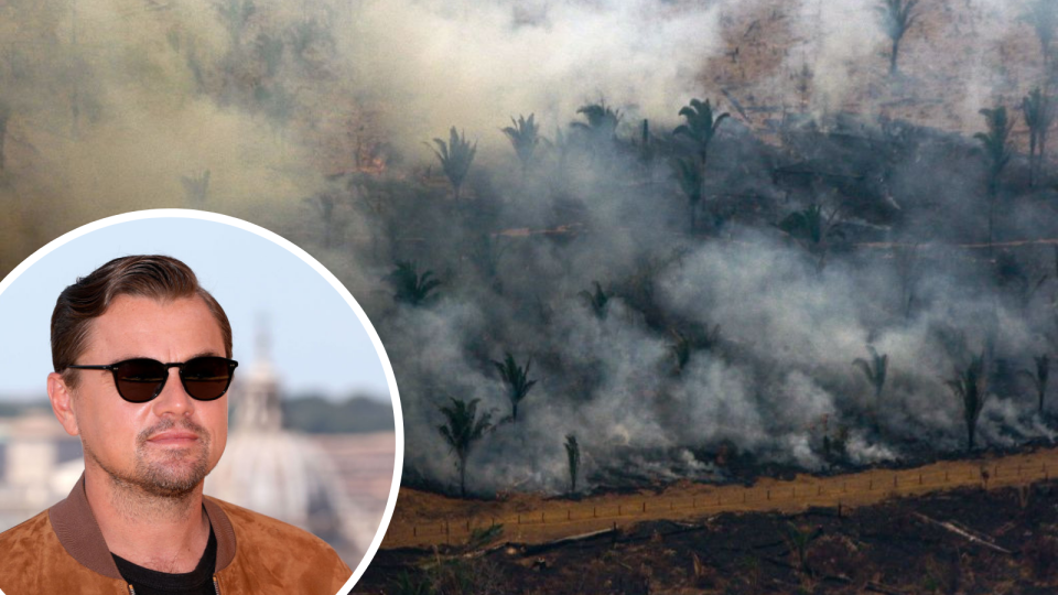 Leonardo DiCaprio is pictured in the left corner. He wears black sunglasses and a brown jacket. In the background, the Amazon rainforest is pictured. It is burning, with smoke covering threes. 