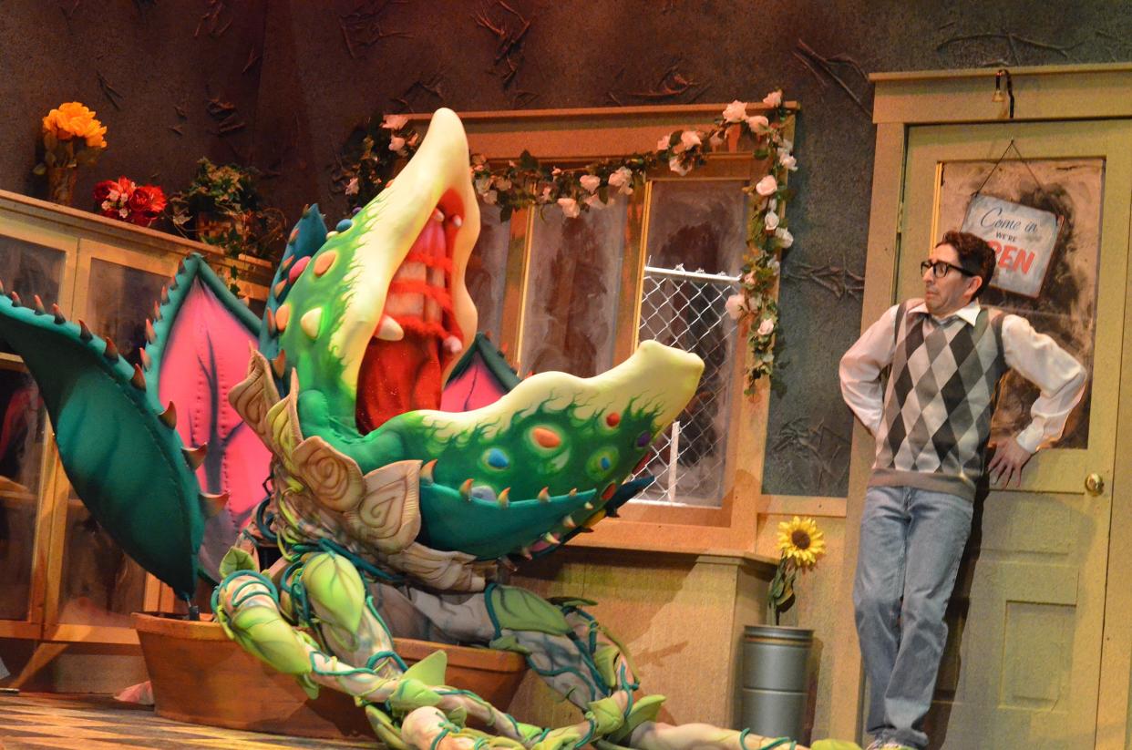 Mikey Del Vecchio as Seymour is appalled by his plant's growing thirst for blood in "Little Shop of Horrors" at the Croswell Opera House.