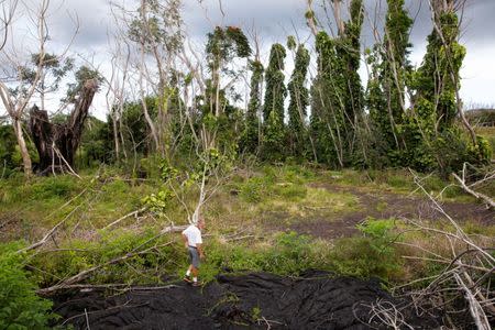 Harald Fischer, 61, of Kapoho, who was forced to leave his home after the Kilauea Volcano erupted last summer, looks at hardened lava after returning to Kapoho, in Hawaii, U.S., March 29, 2019. Picture taken March 29, 2019. REUTERS/Terray Sylvester