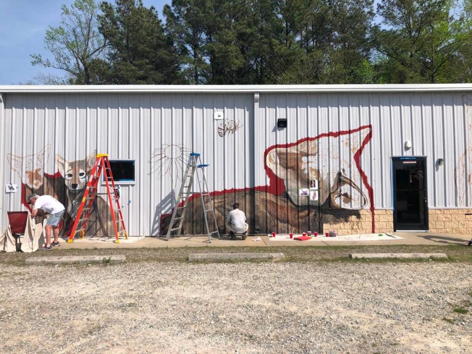 Volunteer artists work on a new mural on the front of the Red Wolf Center in Pocosin Lakes National Wildlife Refuge outside Columbia. The mural is expected to be completed by April 15 and is designed to raise awareness of red wolves’ importance to the coastal ecosystem.