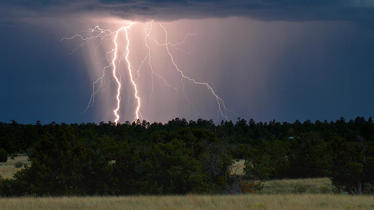  Lightning over forest. 