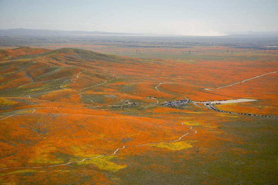 View from a NASA aircraft, TG-14, over the superbloom of wildflowers and poppies from the Antelope Valley in Southern California and Poppy Reserve on April 2, 2019.