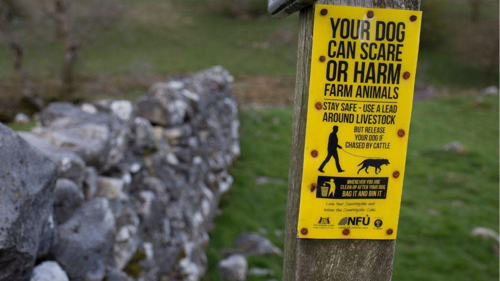 Sign in field