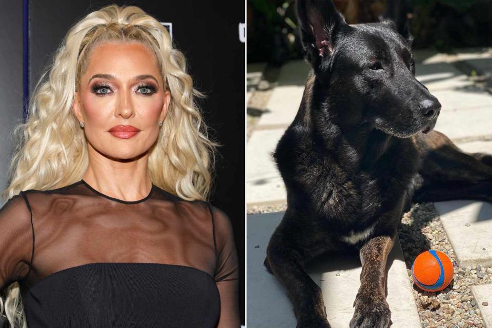 <p>Ethan Miller/Getty; Erika Jayne/Instagram</p> Erika Girardi and her dog, Tiago