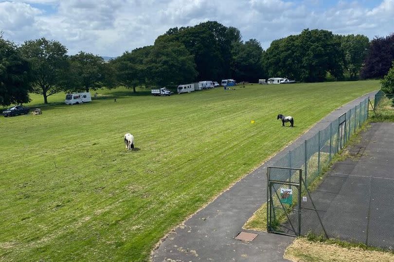 Travellers have arrived in caravans on King George V Playing Fields in Exeter