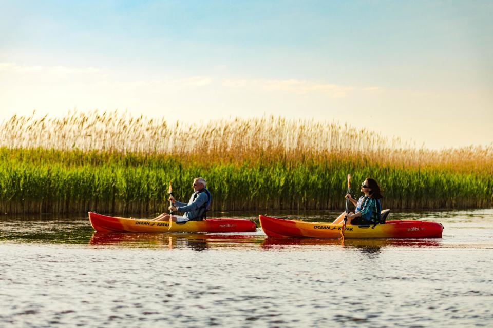 Back Bay Kayaking in Virginia Beach