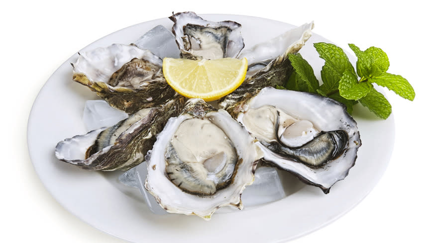 Oysters