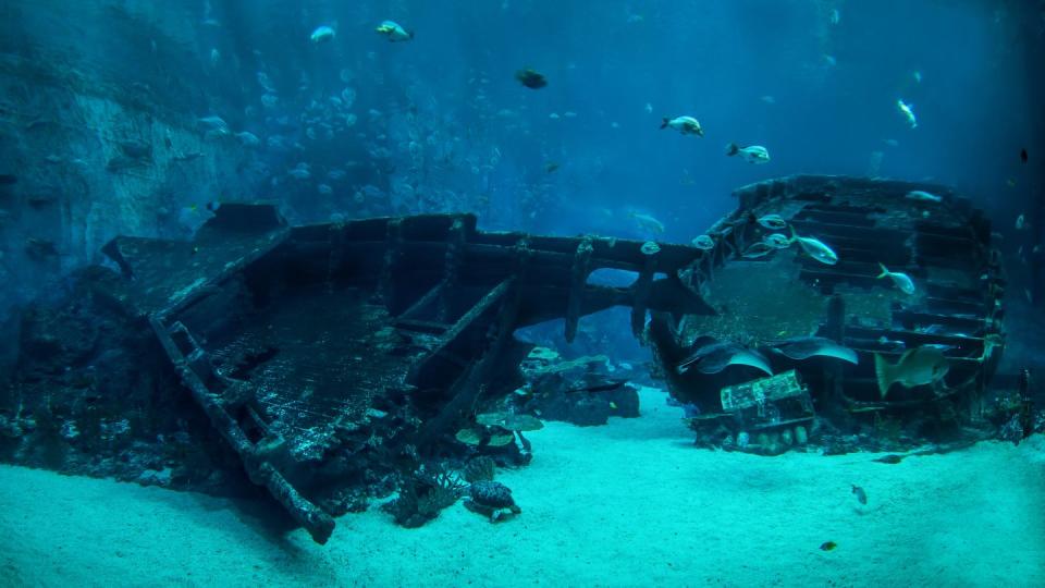 15 Mesmerizing Photos of Underwater Shipwrecks