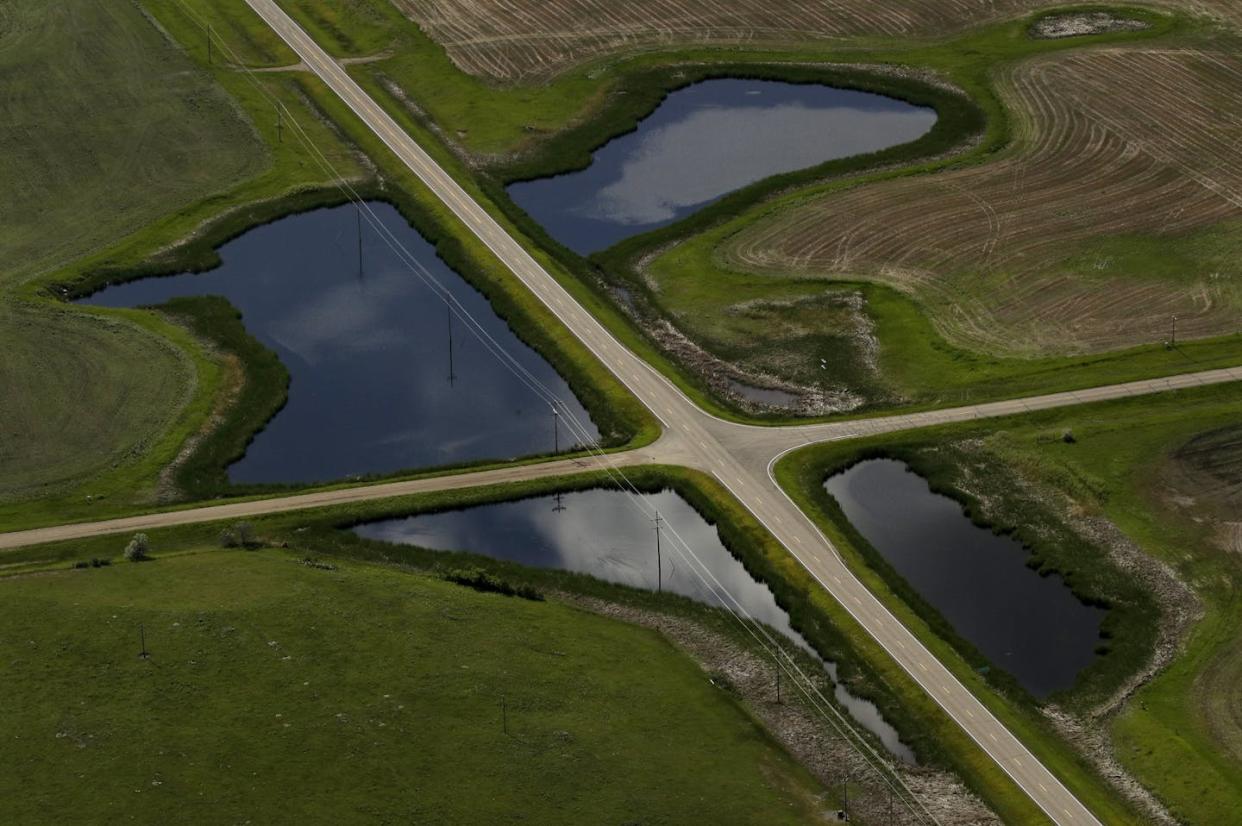 Roads divide what once was a larger wetland into four smaller pools in east-central North Dakota. <a href="https://newsroom.ap.org/detail/WhatCanBeSavedGhostPonds/c7d5b1a22626489b8cb7414e70fc4f6e/photo" rel="nofollow noopener" target="_blank" data-ylk="slk:AP Photo/Charlie Riedel;elm:context_link;itc:0;sec:content-canvas" class="link ">AP Photo/Charlie Riedel</a>