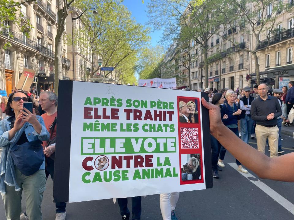 <p>"Après son père elle trahit même les chats. Elle vote contre la cause animale"</p> 