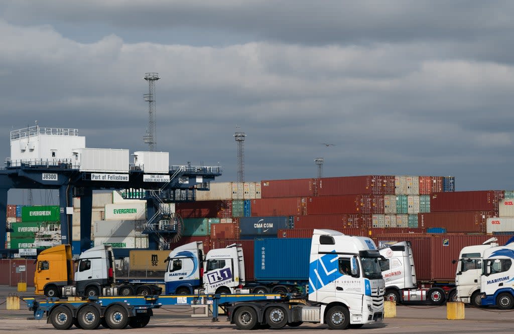 Lorries wait at the Port of Felixstowe in Suffolk (Joe Giddens/PA) (PA Wire)