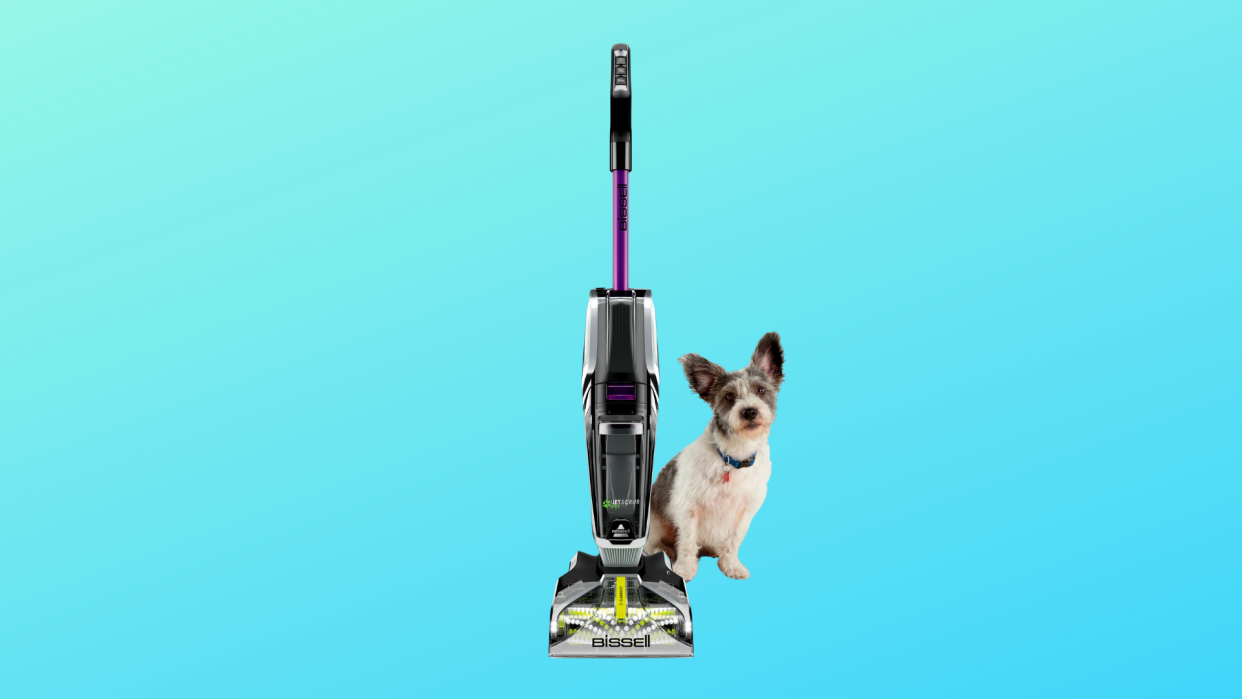 Carpet cleaner with dog. (Photo: Walmart)