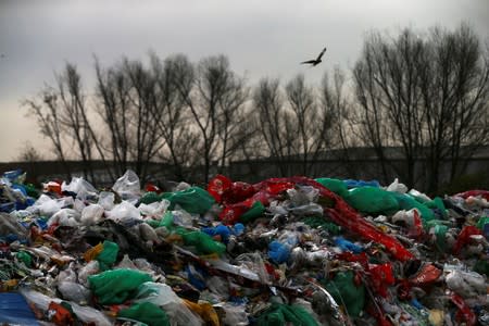 A bird flies over a garbage dump at the state entity CEAMSE in the neighborhood of Jose Leon Suarez, on the outskirts of Buenos Aires