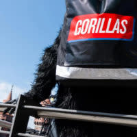 Der Erfolg von Gorillas hat gezeigt, dass ein Schnell-Lieferservice für Lebensmittel auch in Deutschland funktionieren kann. Das zieht zahlreiche Nachahmer an.