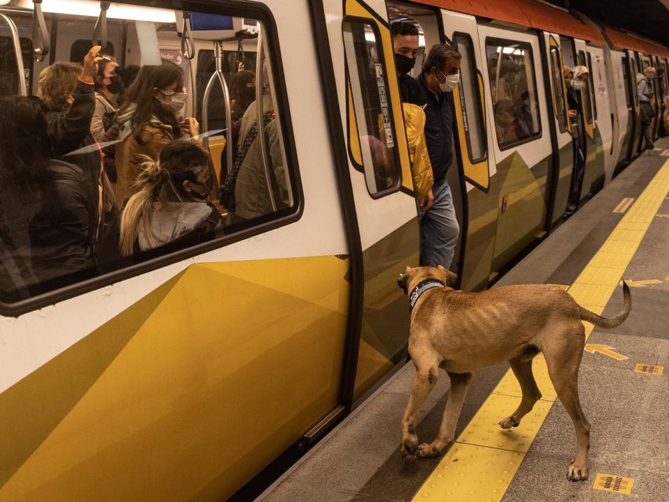 Boji boards a subway train.