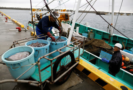 A trawler ship Seiko-maru captain Koichi Matsumoto, 64, and a crew member land a catch of fish after a trial fishing operation at Matsukawaura fishing port in Soma, Fukushima prefecture, Japan February 20, 2019. Picture taken February 20, 2019. REUTERS/Issei Kato