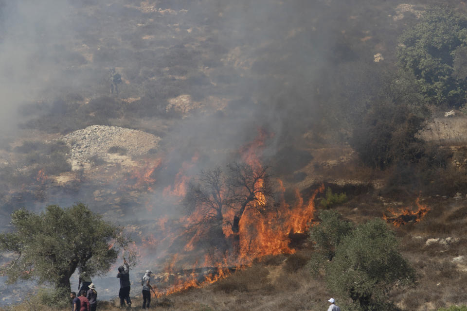 Palestinian farmers fight fire in olive groves, that was caused by Israeli police teargas canisters, used to disperse Palestinians trying to reach their groves, in the West Bank village of Burqa, East of Ramallah, Friday, Oct. 16, 2020. Palestinians clashed with Israeli border police in the West Bank on Friday during their attempt to reach and harvest their olive groves near a Jewish settlers outpost. (AP Photo/Nasser Nasser)