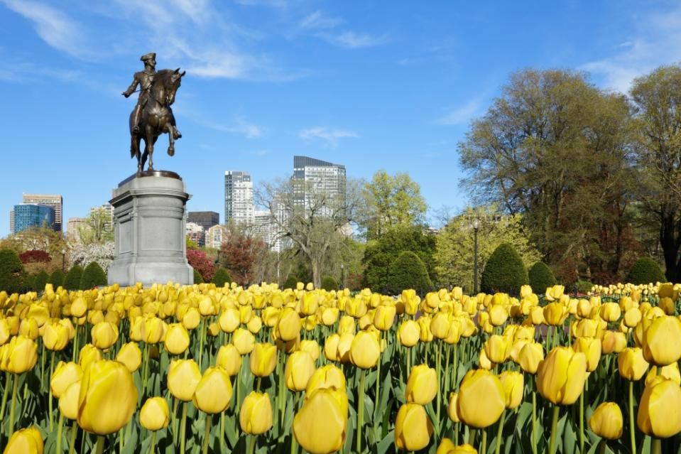 George Washington statue (c. 1859) in the public gardens (Boston, Massachusetts).