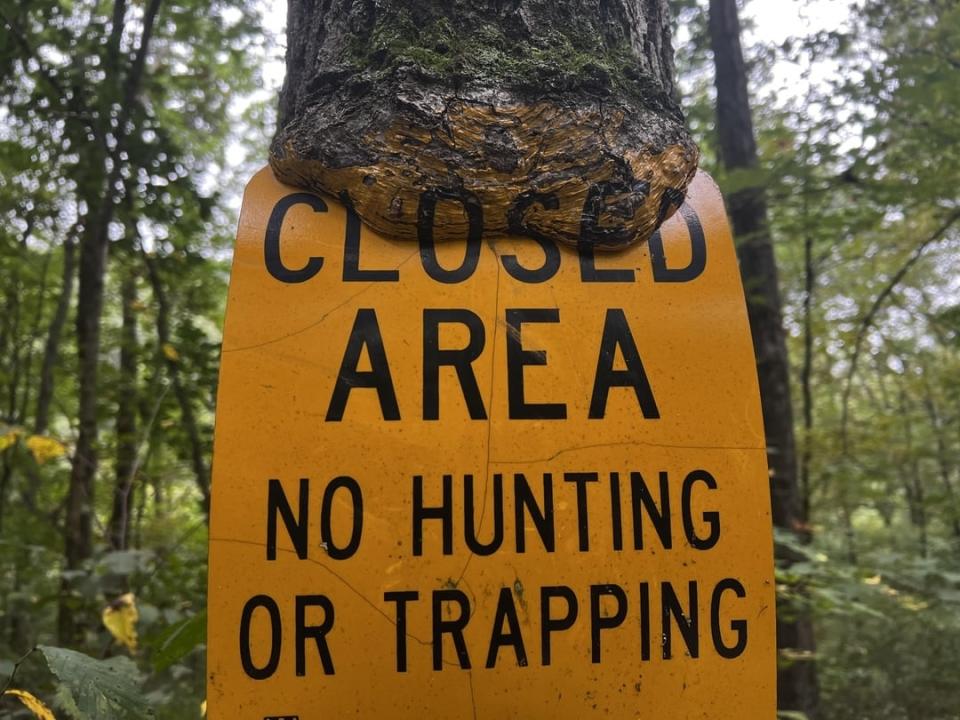 A tree is growing over a warning sign while the paint on the sign is growing over the tree bark